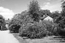 Experiment Image in Black and White - Rowallane Garden - 1 Jun 06