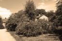 Experiment Image Converted to Sepia - Rowallane Garden - 1 Jun 06