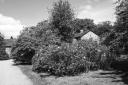 Experiment Image Converted to Black and White - Rowallane Garden - 1 Jun 06