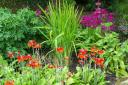 Pretty Flowers - Some JPEG artifacts due to compression - Original available if required