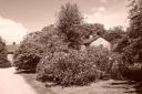 Experiment Image in Sepia - Rowallane Garden - 1 Jun 06
