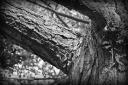 Fine Art or not? Picture two.