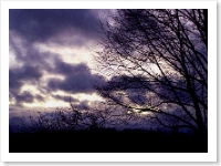 Dark Clouds Gather