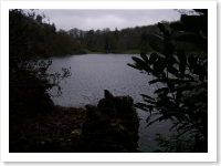 Stourhead Landscape - 3 Jan 07