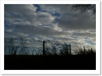 Storm Clouds
