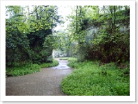 Belsay Gardens